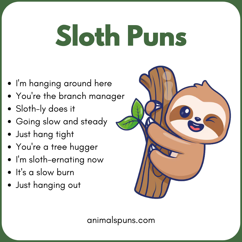 Sloth Puns