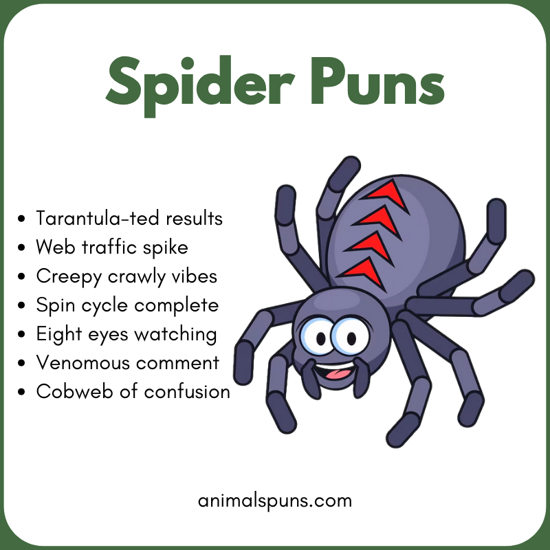 Spider Puns