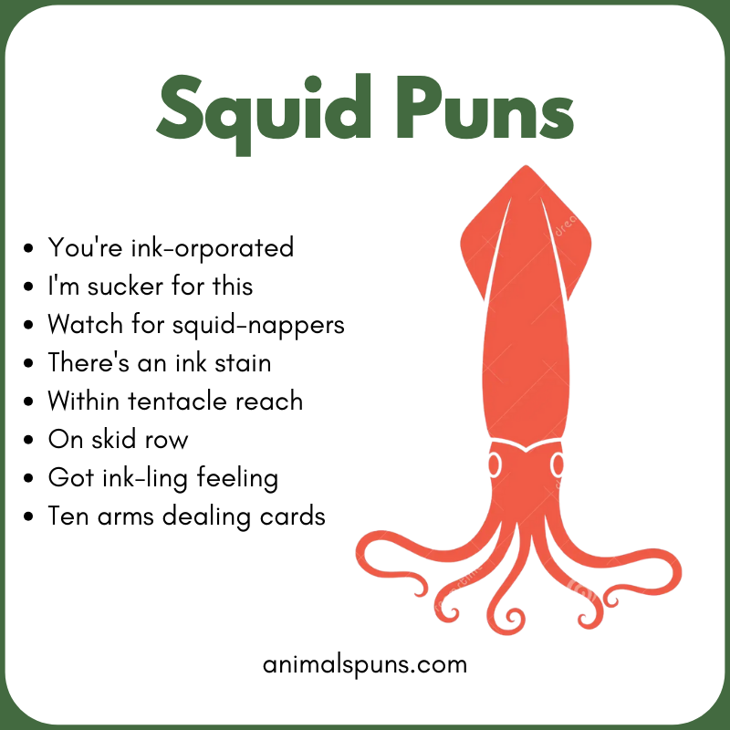 Squid Puns