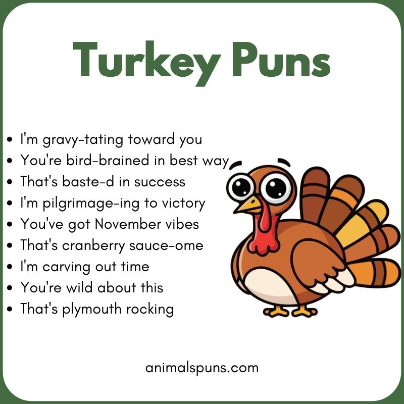 Turkey Puns