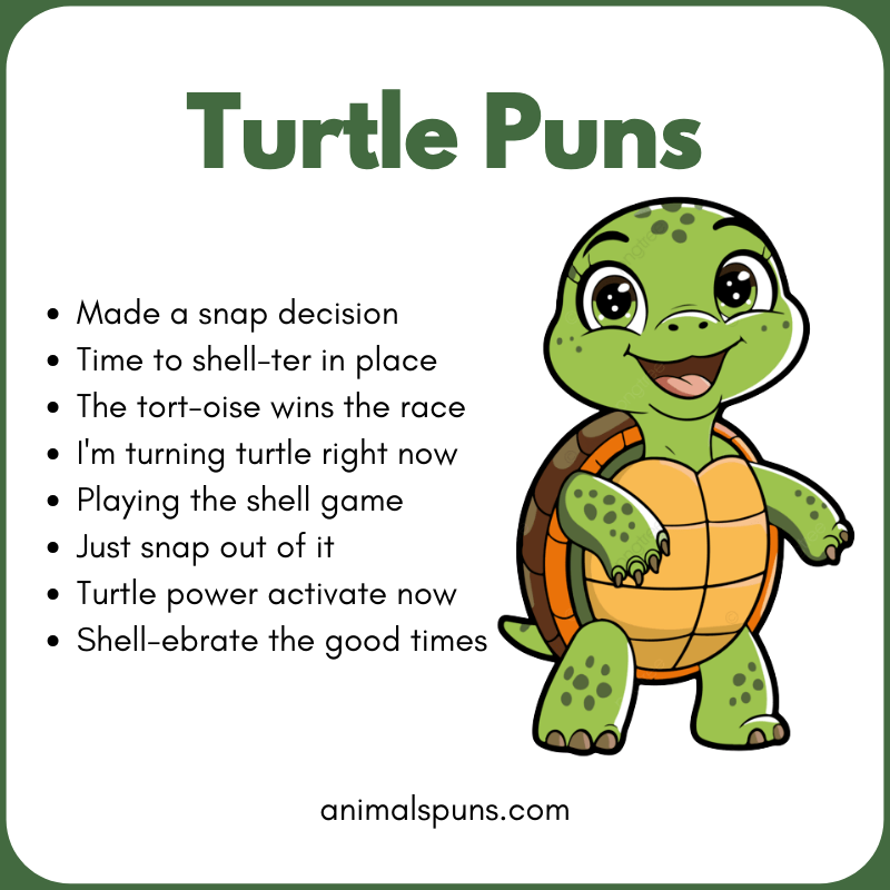 Turtle Puns
