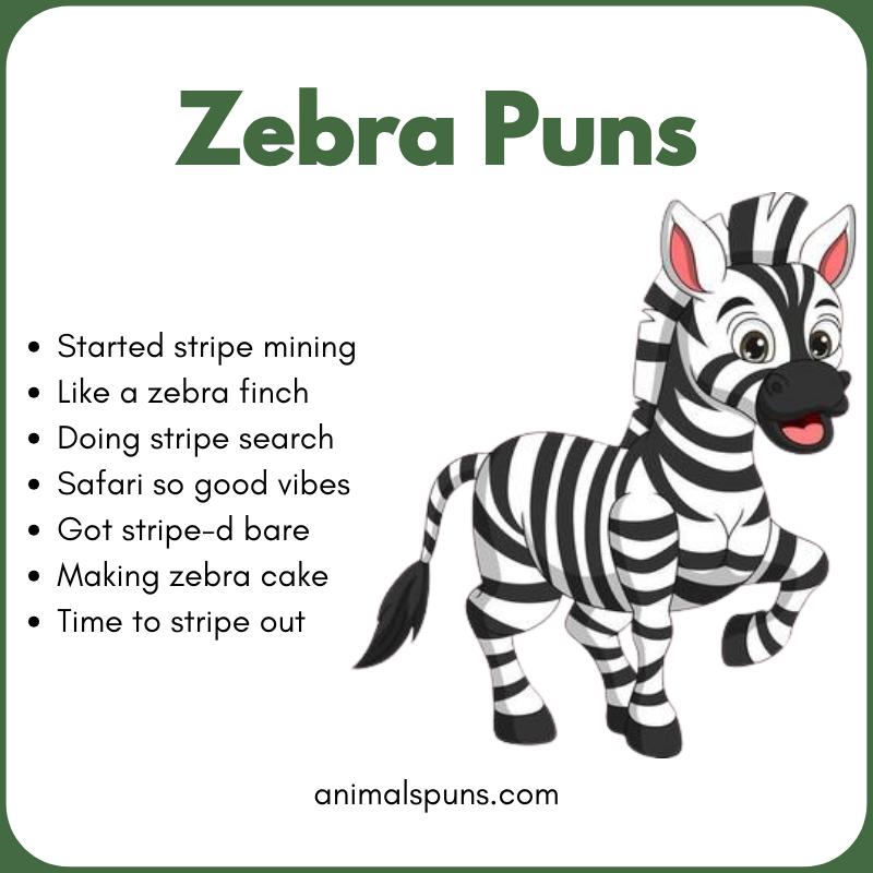 Zebra Jokes