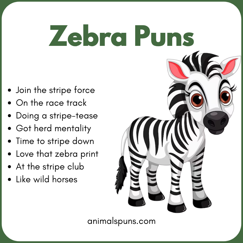 Zebra Puns