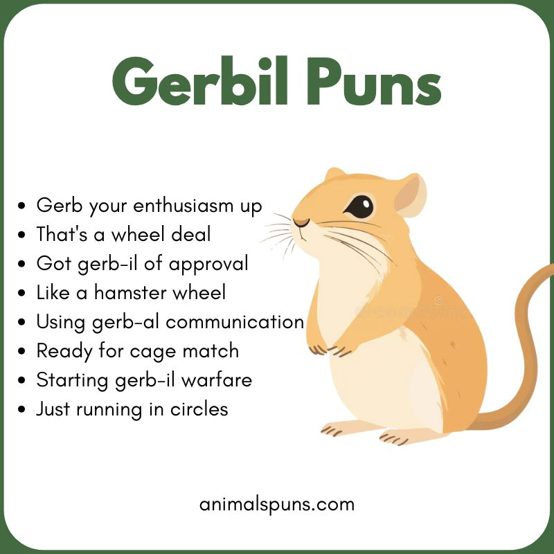 Gerbil Puns