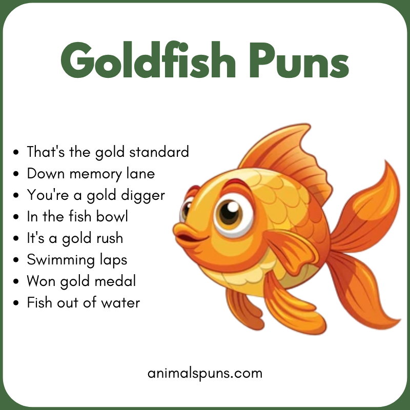 Goldfish Puns 