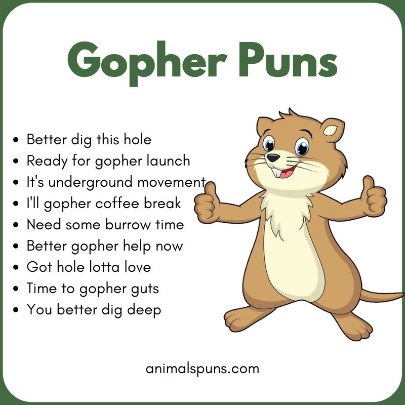 Gopher Puns