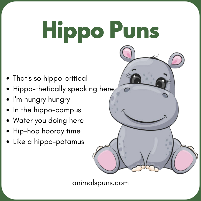 Hippo Puns