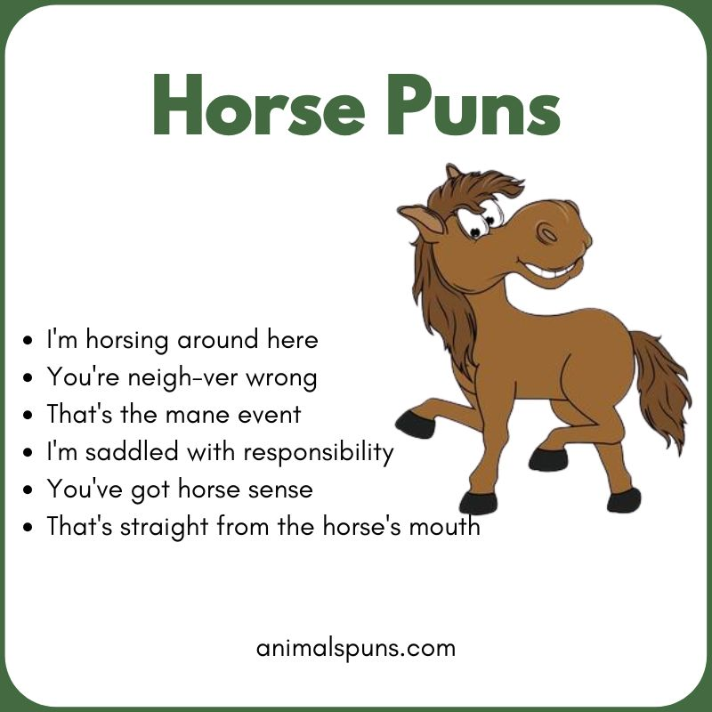 Horse Puns