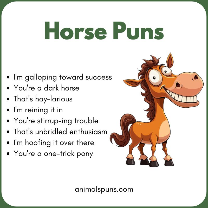 Horse Puns