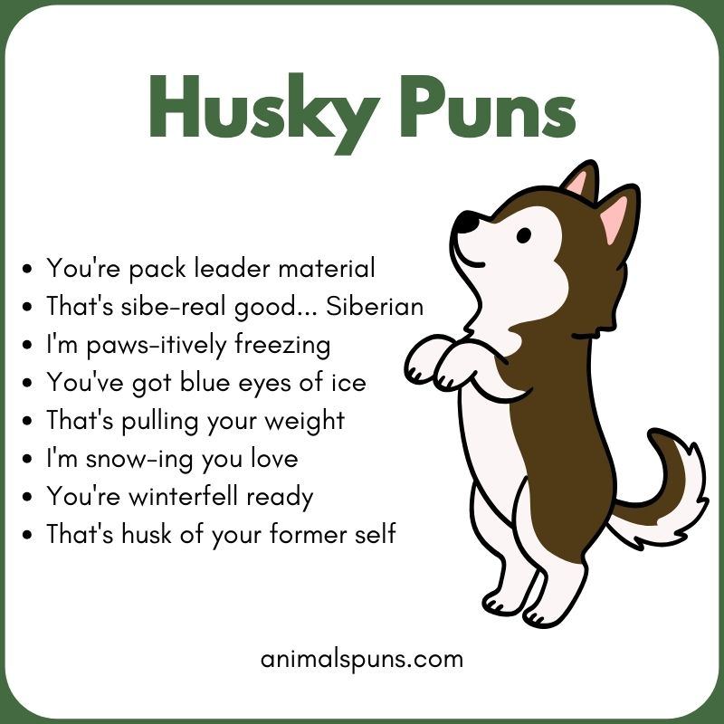 Husky Puns