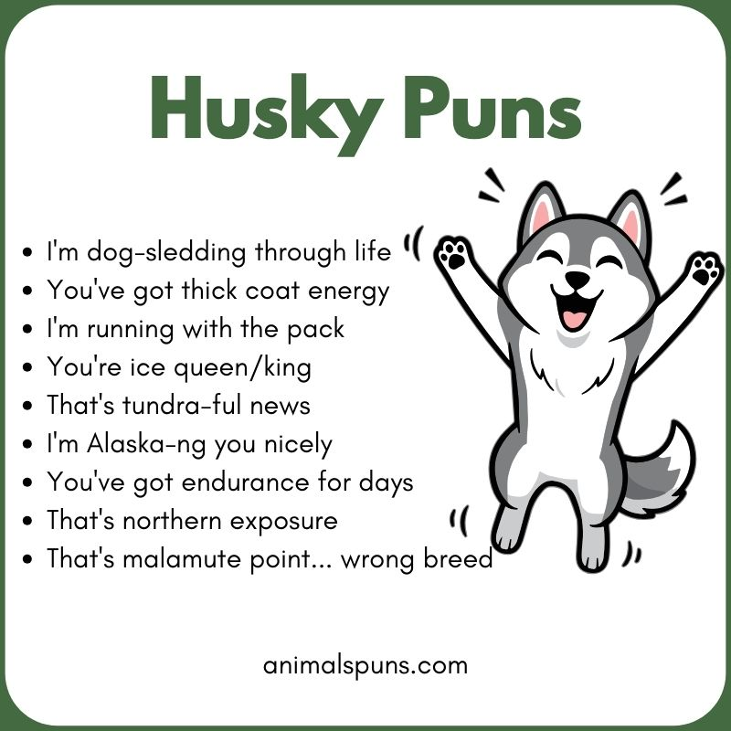 Husky Puns