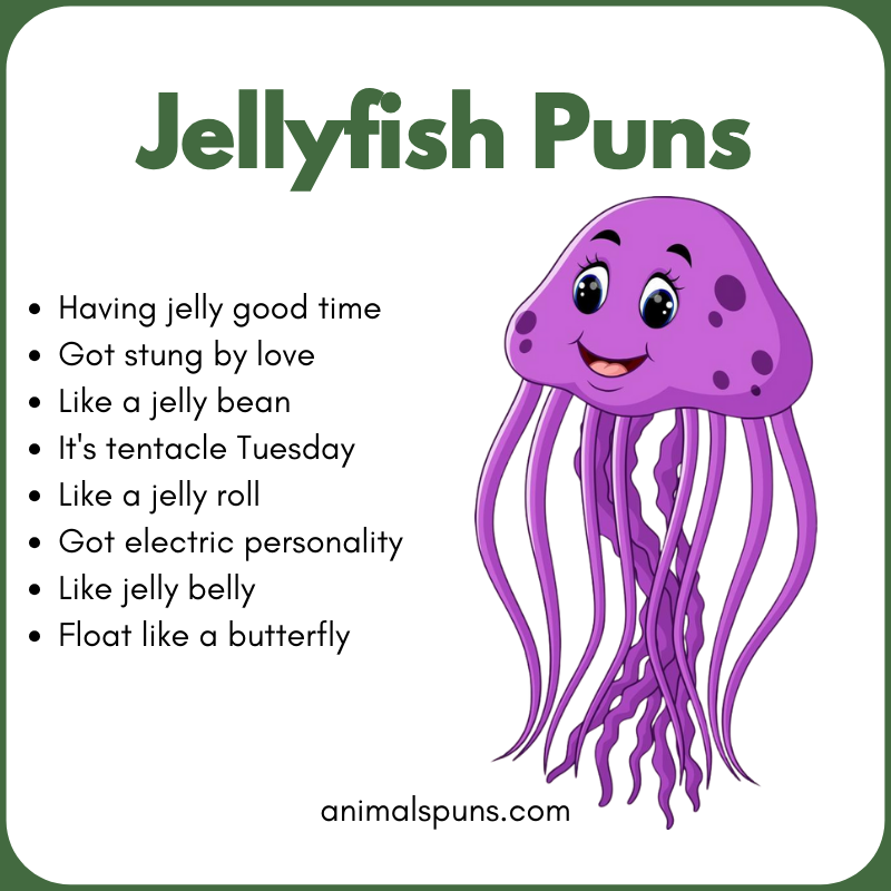 Jellyfish Puns