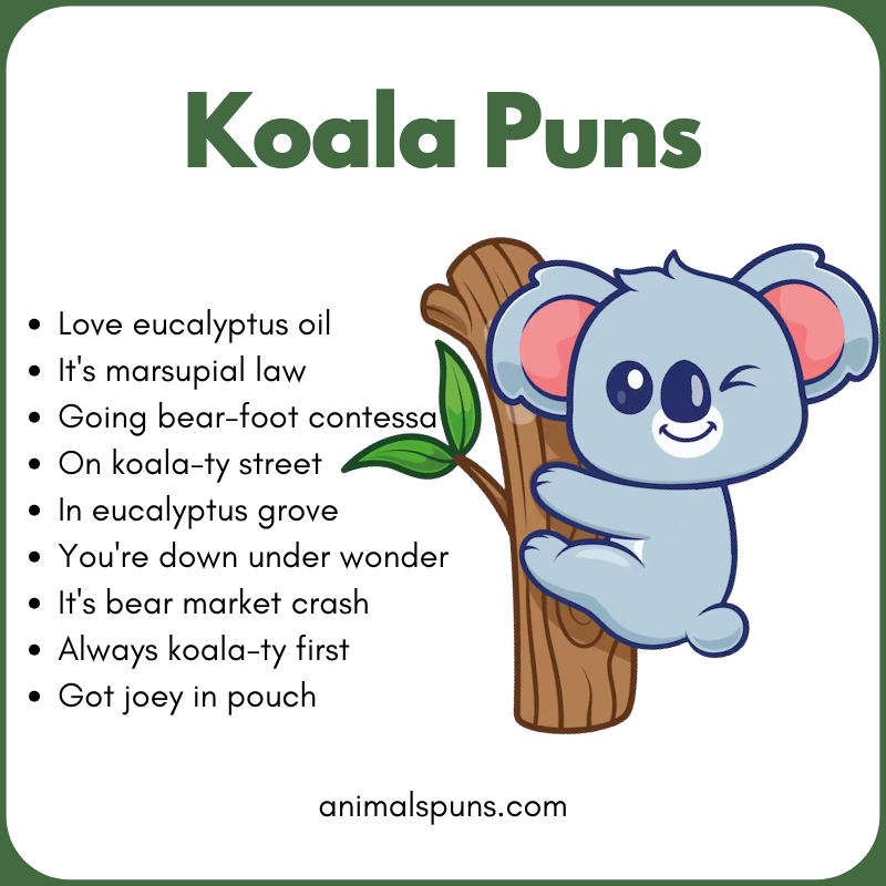 Koala Puns