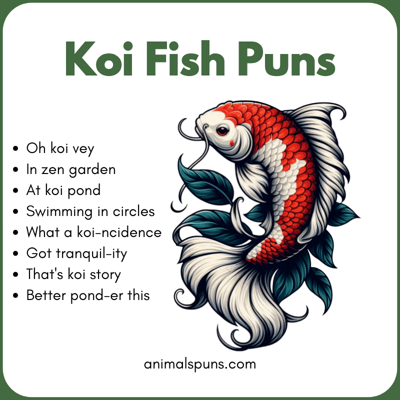 Koi Fish Puns