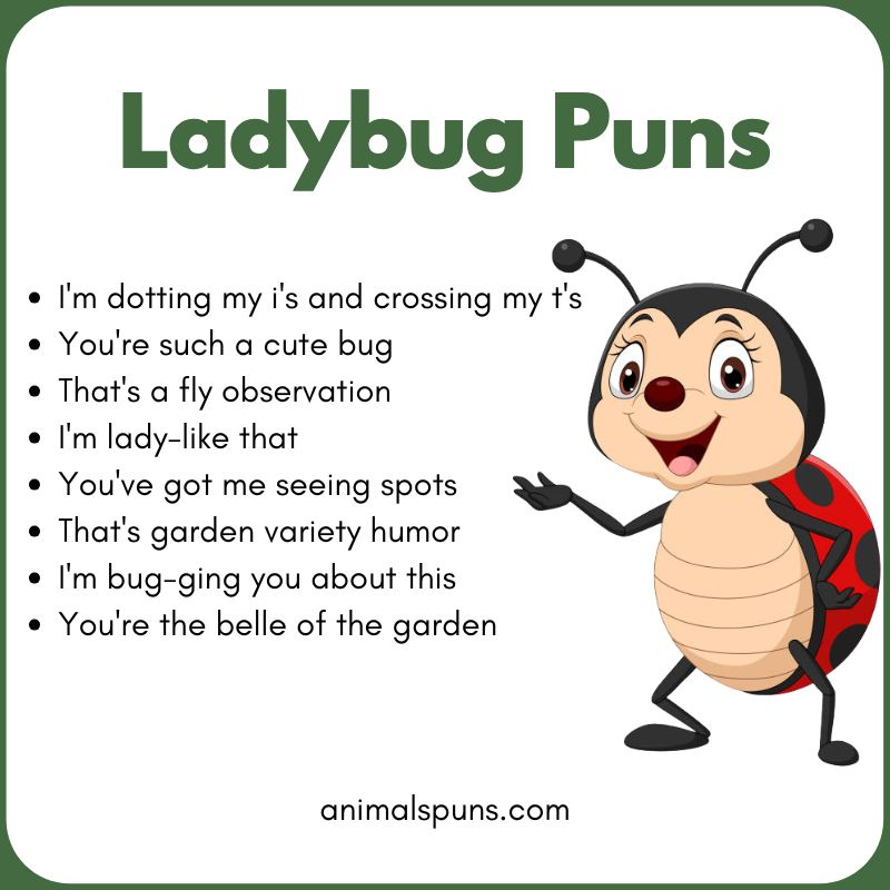 Ladybug Puns