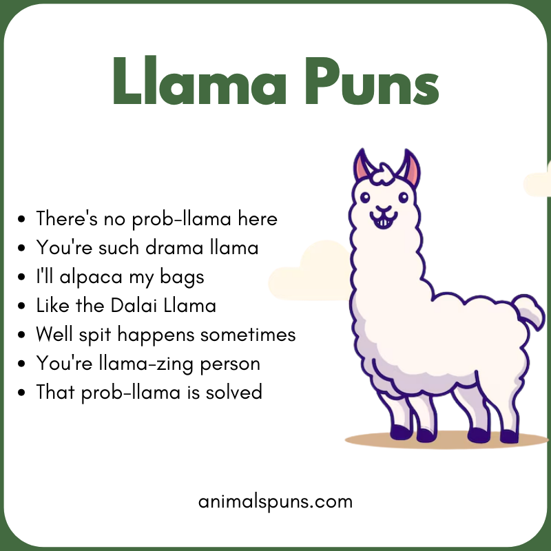 Llama Puns