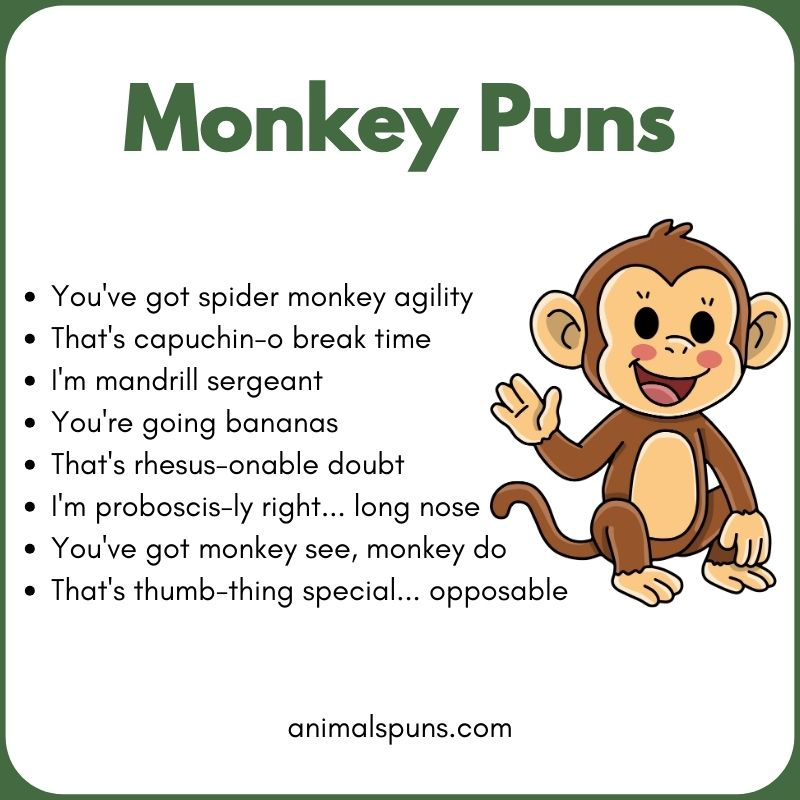 Monkey Puns