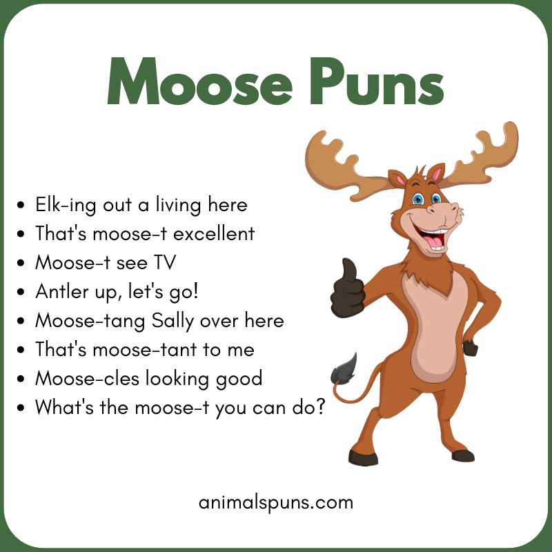 Moose Puns