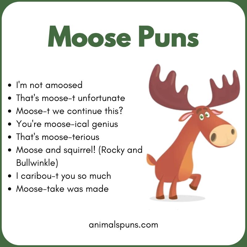 Moose Puns