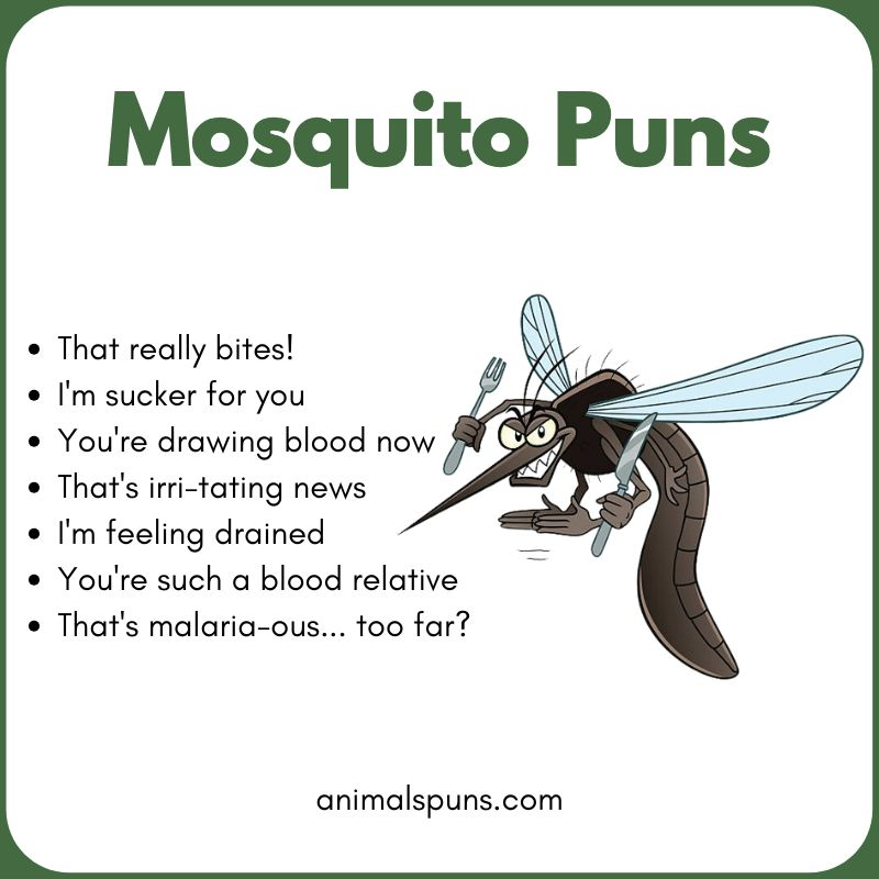 Mosquito Puns