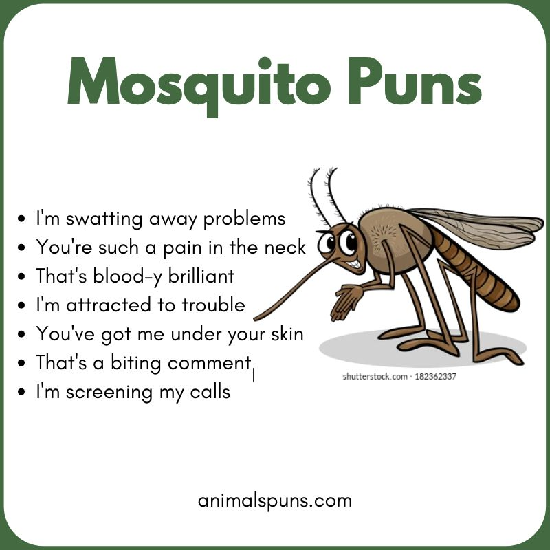 Mosquito Puns