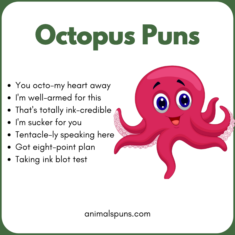 Octopus Puns