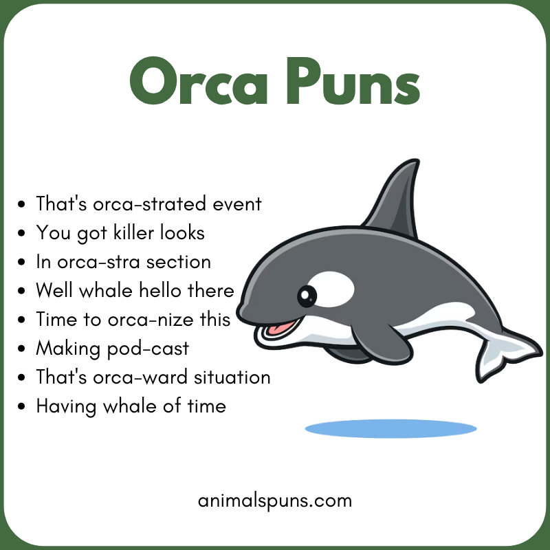 Orca Puns
