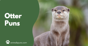 Otter Puns