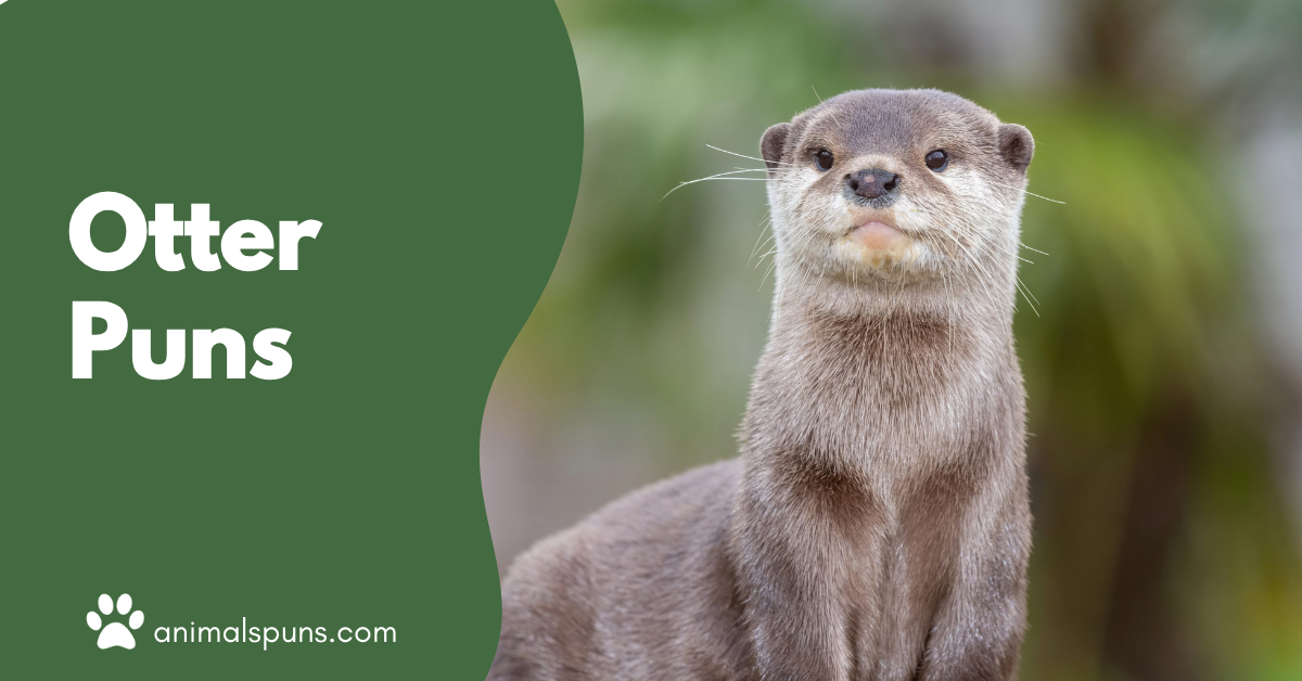 Otter Puns