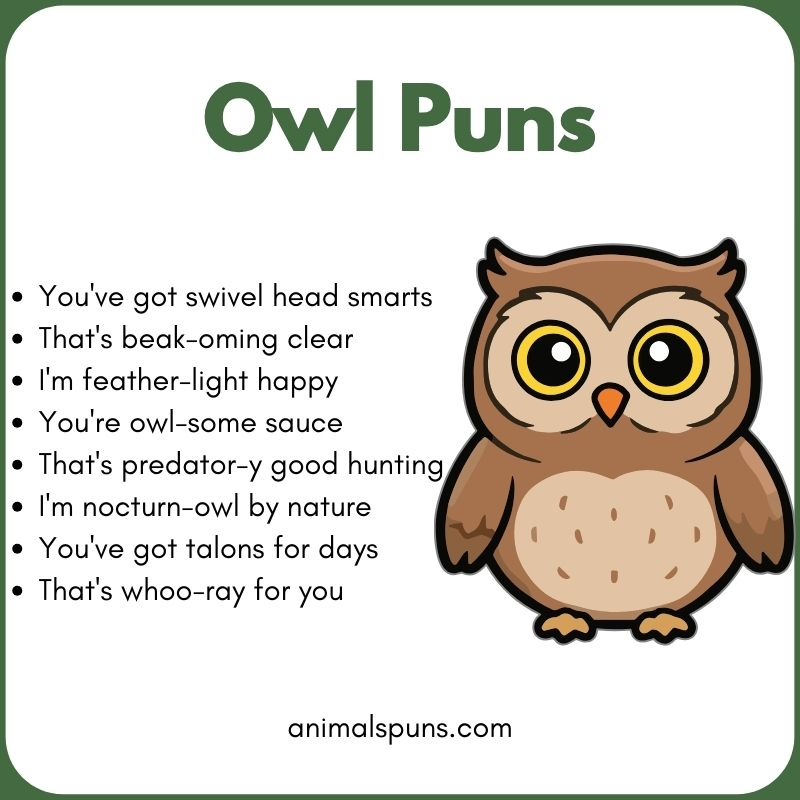 Owl Puns