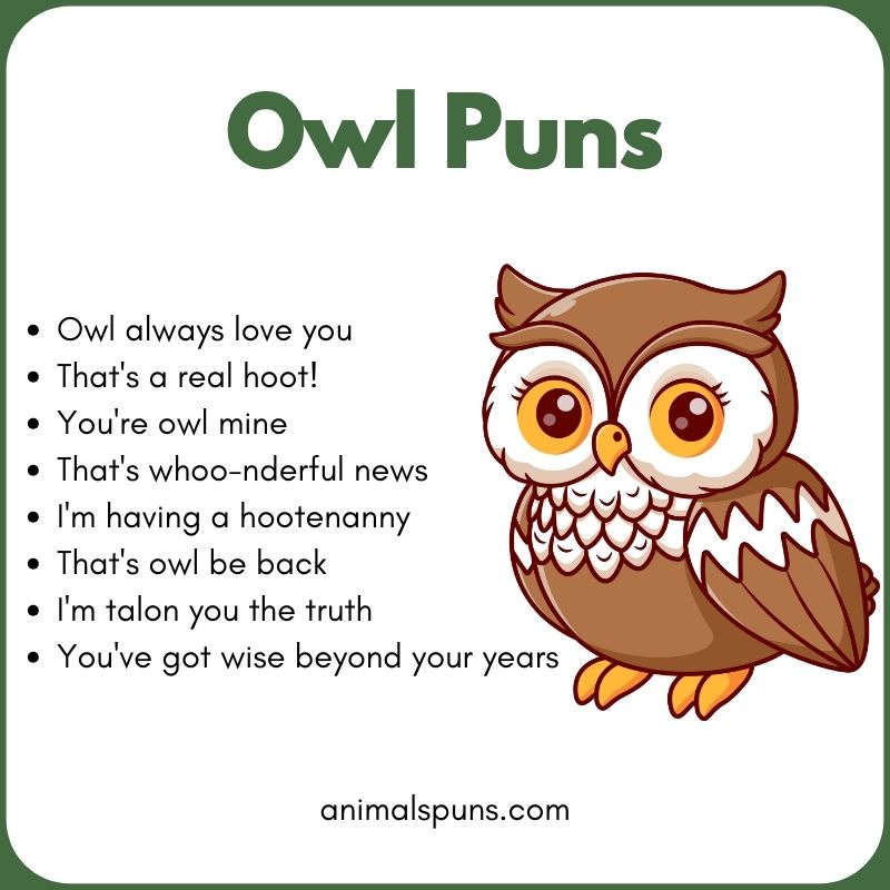 Owl Puns