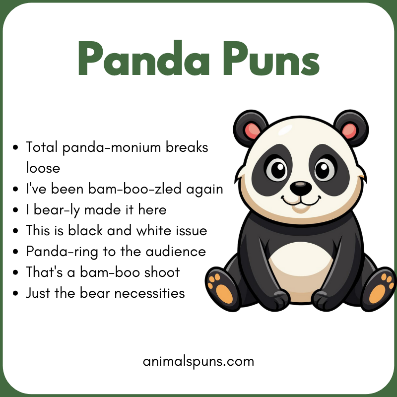 Panda Puns