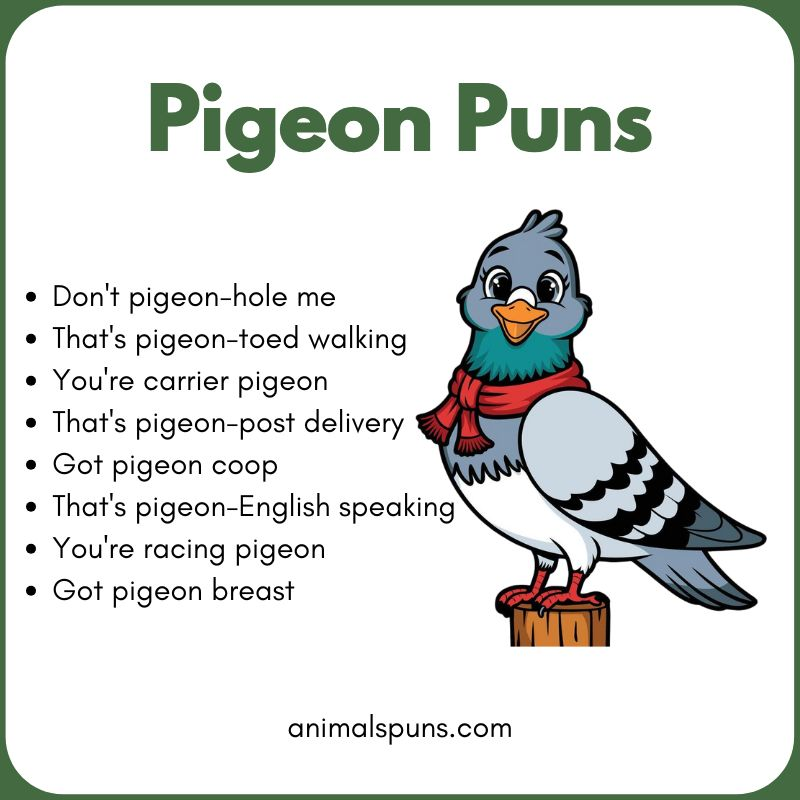 Pigeon Puns