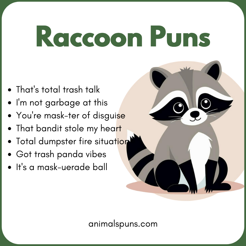 Raccoon Puns