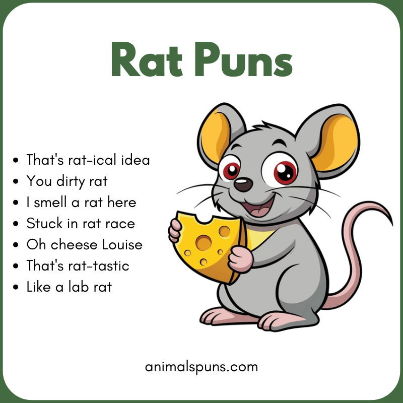 Rat Puns