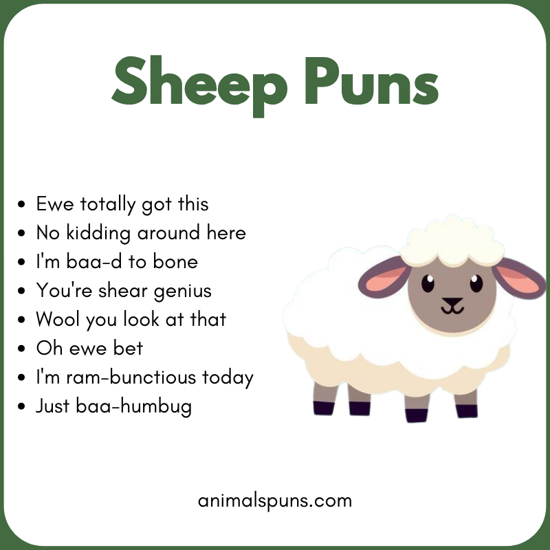 Sheep Puns