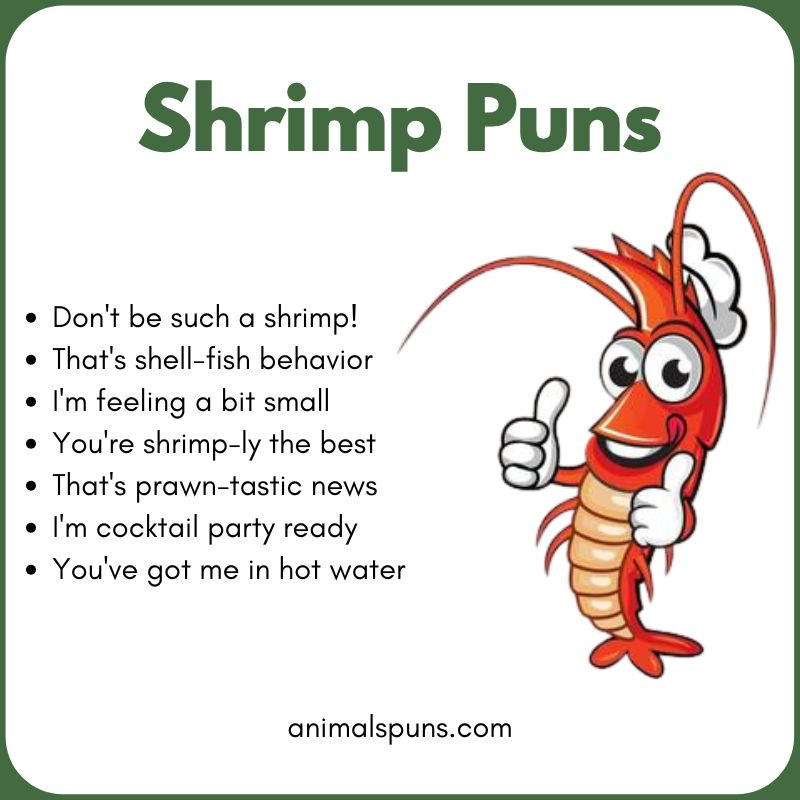 Shrimp Puns