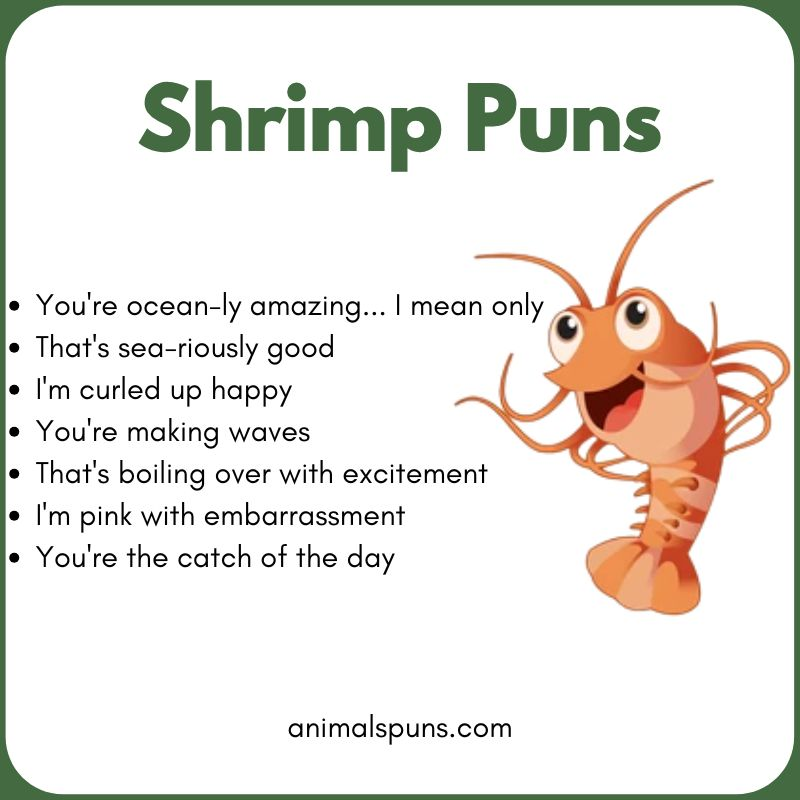 Shrimp Puns