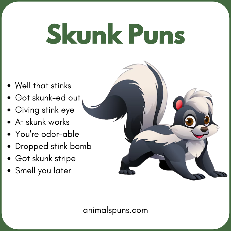 Skunk Puns