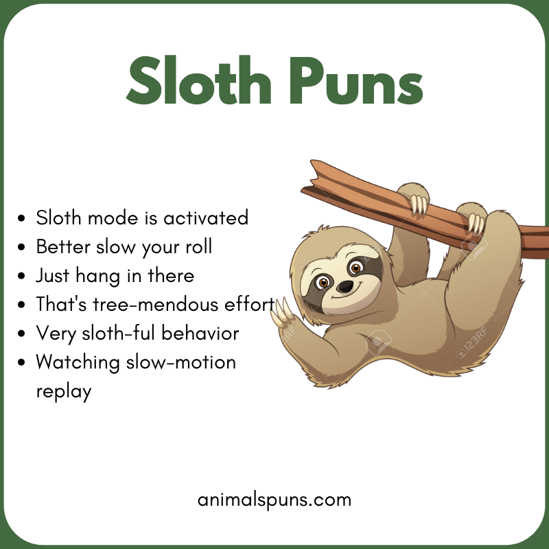 Sloth Puns