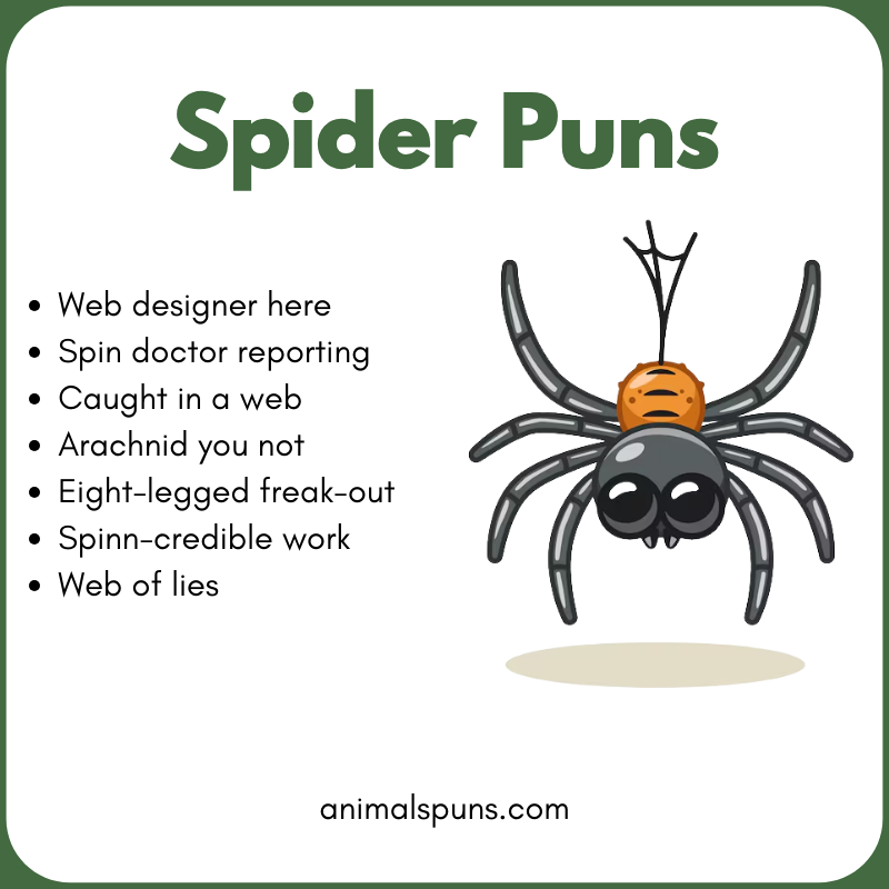 Spider Puns