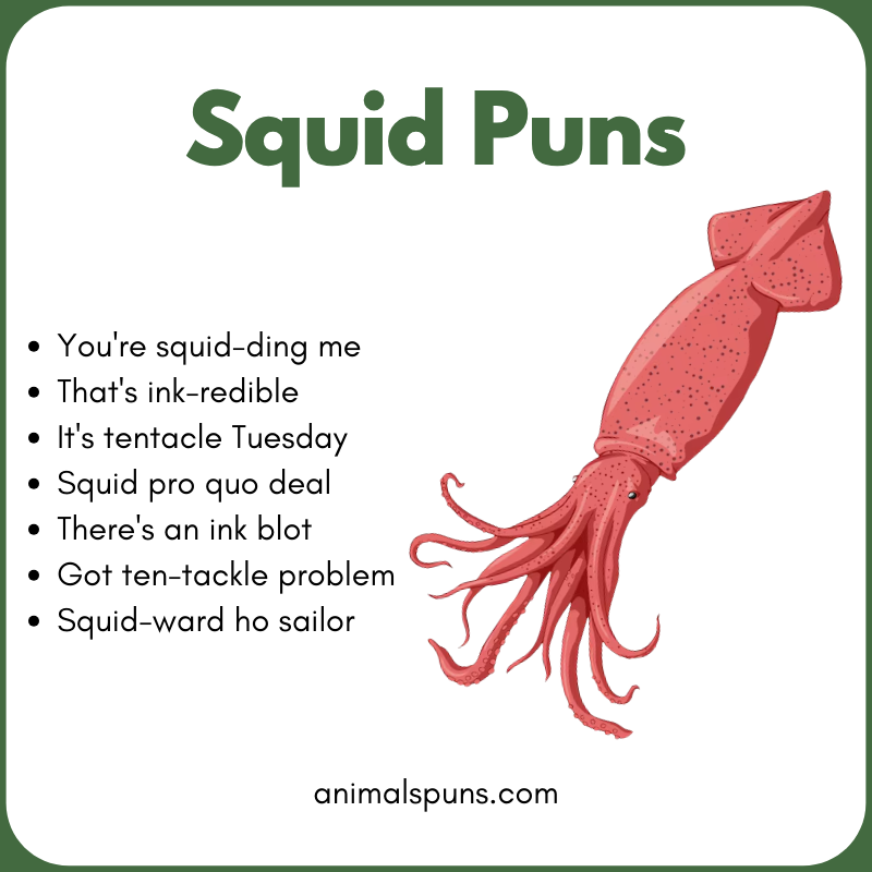 Squid Puns