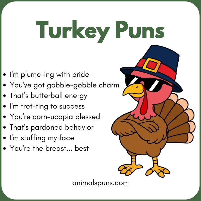 Turkey Puns