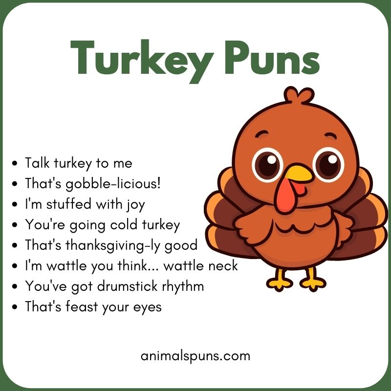 Turkey Puns