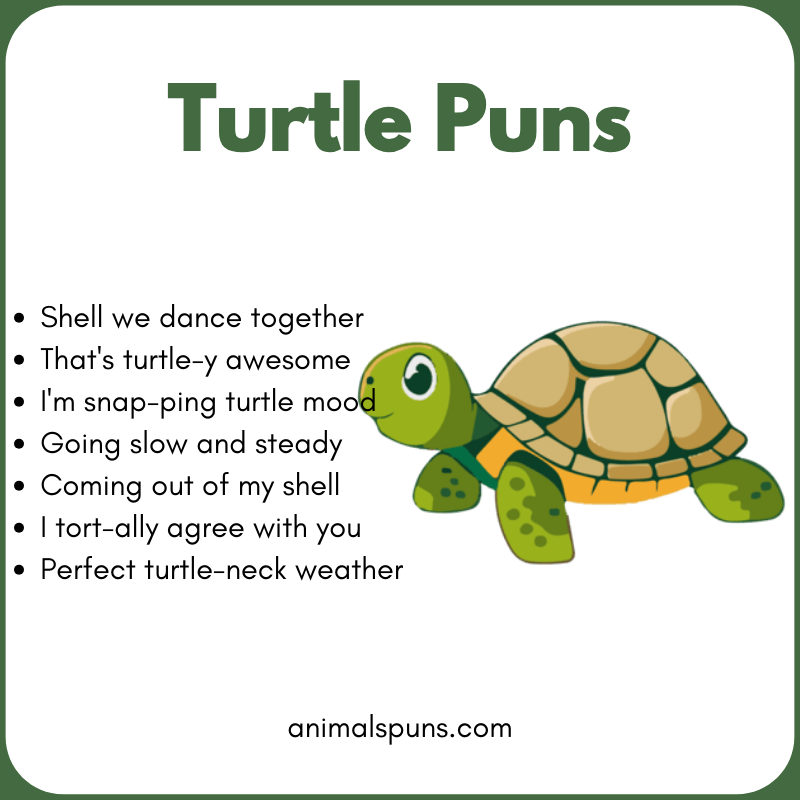 Turtle Puns