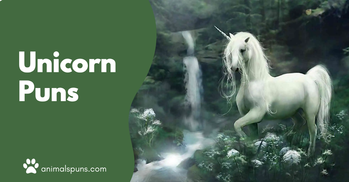 Unicorn Puns