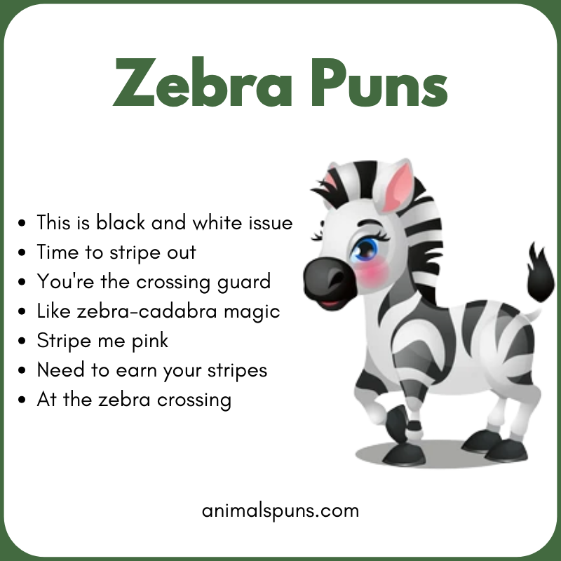 Zebra Puns