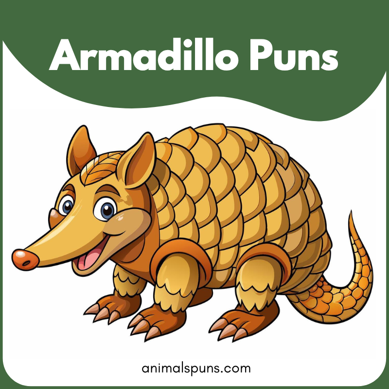 Armadillo Puns