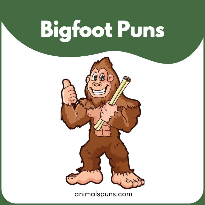 Bigfoot Puns