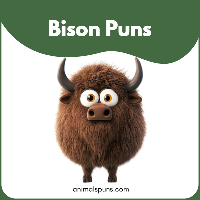 Bison Puns